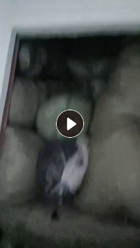 长期出售涤纶废布，涤纶碎布，化纤布，货在安徽滁州