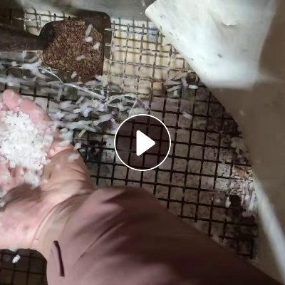 出售高压颗粒，缠绕膜颗粒，乳白袋颗粒