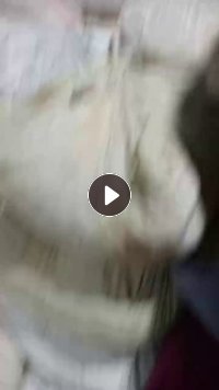 长期出售旧衣服大白，有少量擦机布，拉链有绞掉，每个月6米8一车，货在江西景德镇