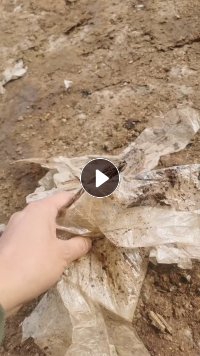 出售菌棒塑料袋，用吨包装，现货几十吨