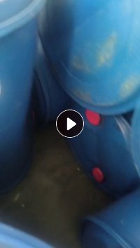 出售大蓝桶毛料,200升,货在广东东莞