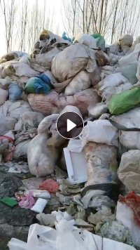 长期出售杂膜炼油料，月供200吨