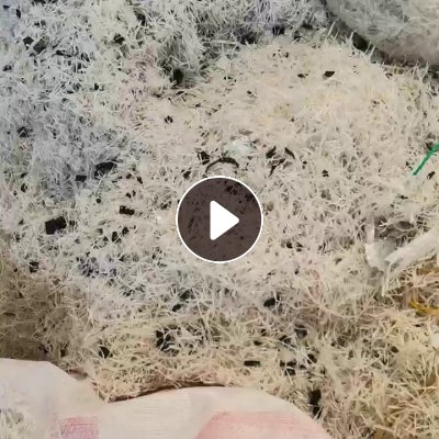 出售电子载带出来的废膜料，80%PE料，黑色PS的，月供三四十吨