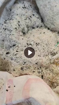 出售电子载带出来的废膜料，80%PE料，黑色PS的，月供三四十吨