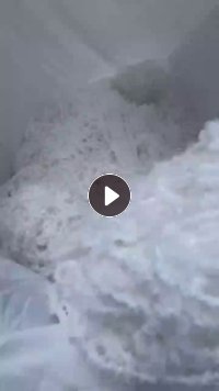 出售白色涤纶水丝，涤纶废丝，含水50%左右，货在安徽东至