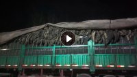 出售切割好的线胎废料,长期供货