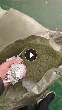 出售pp片材破碎料，乳白色，浮水，比重0.9几