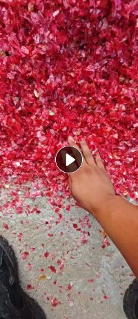 出售pet养殖浮球料，现货5吨左右