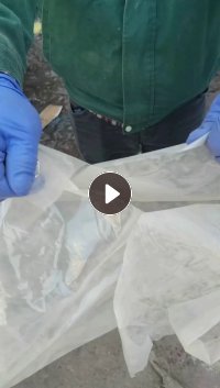 长期出售含尼龙的复合塑料袋子，塑料袋，复合袋，现货20吨左右