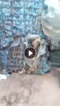 长期出售大棚膜压包料，月供100吨