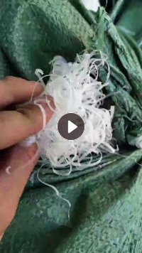 出售白色PP刨丝刨花料，板材切下来；现货十来吨