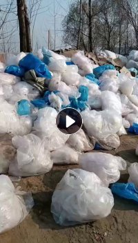 出售肉联厂下来的杂膜，有附带一成纸