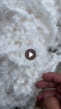 出售复合麻花丝，涤纶废丝，含水量50%左右