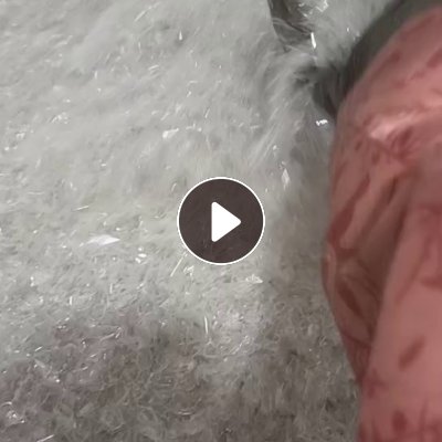长期出售A级PET吸塑盒破碎料