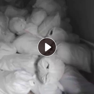 长期大量出售涂胶厂下来的涤棉边角料,涤棉废料,带一点胶,一公分宽