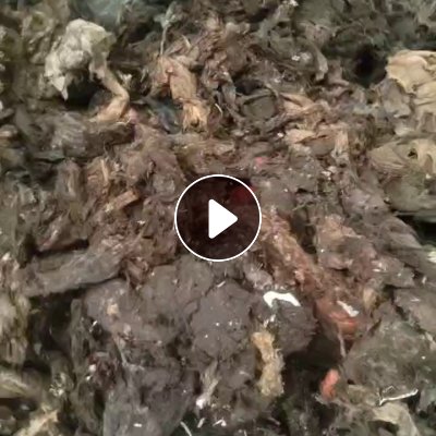 出售PE肉膜挤干料，味道有处理过，出油率在五个以上，安徽阜阳太和