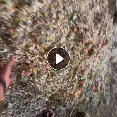 长期出售沉水pp打包带破碎料