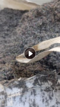 出售大小响沫子，有水分，几天一车，现货有半挂