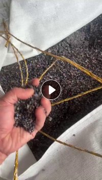 长期出售eva毛毛虫破碎料，月供100多吨