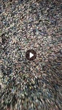 出售PVC电缆皮破碎料，现货八九吨