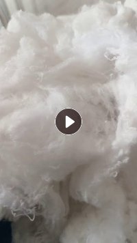 长期出售旧衣服开的大白棉，再生棉