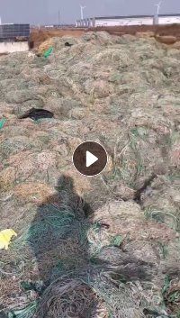 出售聚乙烯和棉线复合料，有1000吨，炼油用，出油5个左右