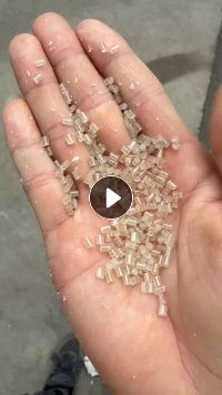 出售eps颗粒，过80目，茶透、中白都有生产