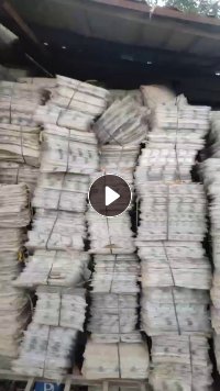 出售pet吸塑片材毛料，现货各20吨