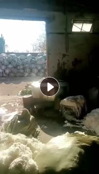 长期出售脱完水的涤纶水丝，脱了8分钟，基本上没有什么水分，可以开花也可以造粒