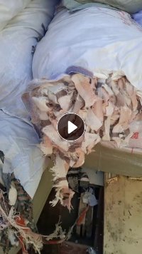 长期出售纯羊毛废布,羊毛边角料,围巾边角料