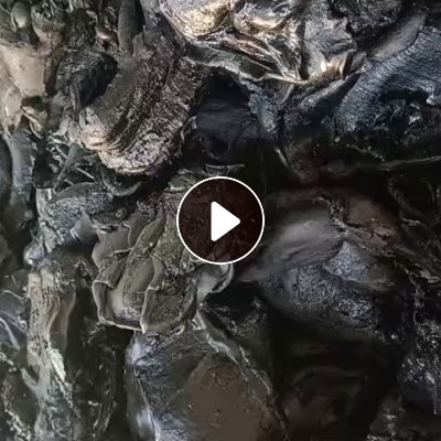 出售PS片材机头料