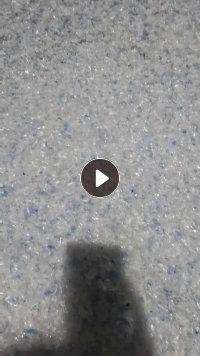 出售高质量热洗蓝白片