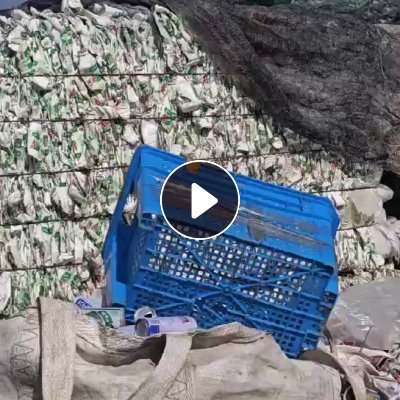 长期出售花乙压块，哇哈哈压块，大小白压块，现货13米一车