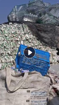 长期出售花乙压块，哇哈哈压块，大小白压块，现货13米一车