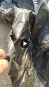 长期出售pvc盐膜,现货100多吨