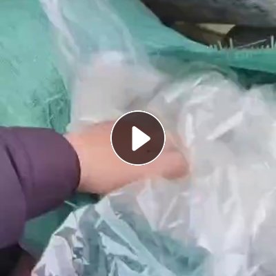 长期出售pet膜废料，现货10多吨