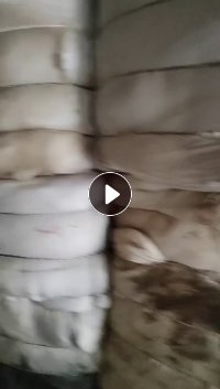 长期大量出售白色纯涤纶毛毛料，磨毛料，含水20%，现货有百来吨，货在浙江湖州