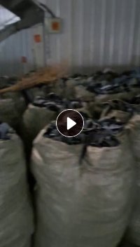 服装公司有大量牛仔碎布出售，纯棉牛仔废布，牛仔布