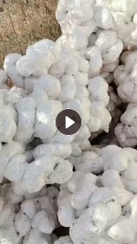 长期出售厂货热熔块，月供10吨左右