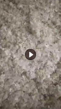 出售透明PP打包带破碎料，直接打产品或者做打包带包皮，拉丝等