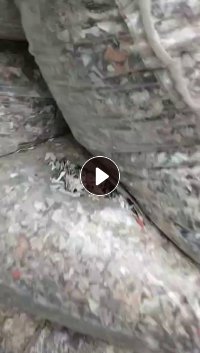 出售中性PVC吸塑膜破碎料,可以磨粉用