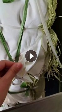 出售口袋布,梭织平纹口袋布,有纯棉跟纯涤纶的,货在江苏苏州