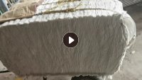 出售大白开花棉,适用于工业棉被,棉被填充,胶带纱,手套纱,墩布纱及各种填充