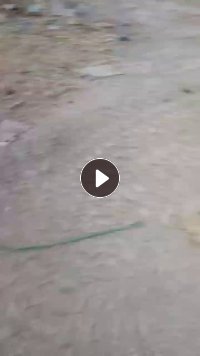 长期出售钢丝胎废料，已分割好，现货300-400吨