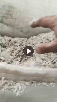 长期出售透明pp打包带破碎料