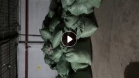 出售服装厂下脚料,已打包,高温白烟,针织纯棉,尼龙等已分类,每月30吨,长期有货,广东广州