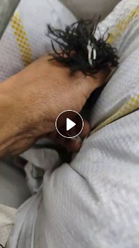 长期出售窗帘厂下来的纯涤纶废丝，涤纶边纱，带一条白线，现货10吨左右