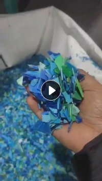 出售日杂丙破碎料，清洗甩干过色选机，白丙，黄丙，红丙，蓝丙都有，现货十几吨