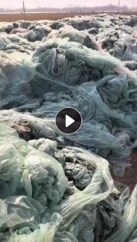 出售PE废旧地膜毛料,未压包