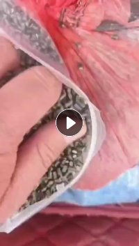 出售PP颗粒，编织袋颗粒，过20目